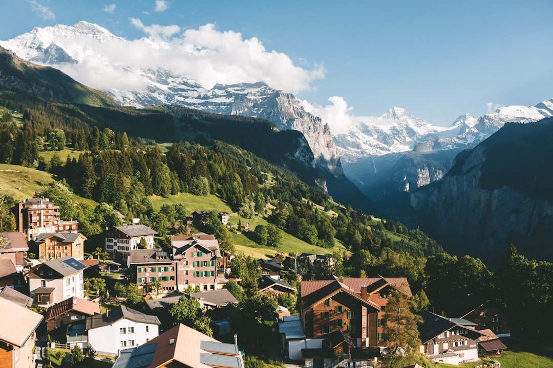 swiss investigation landscape