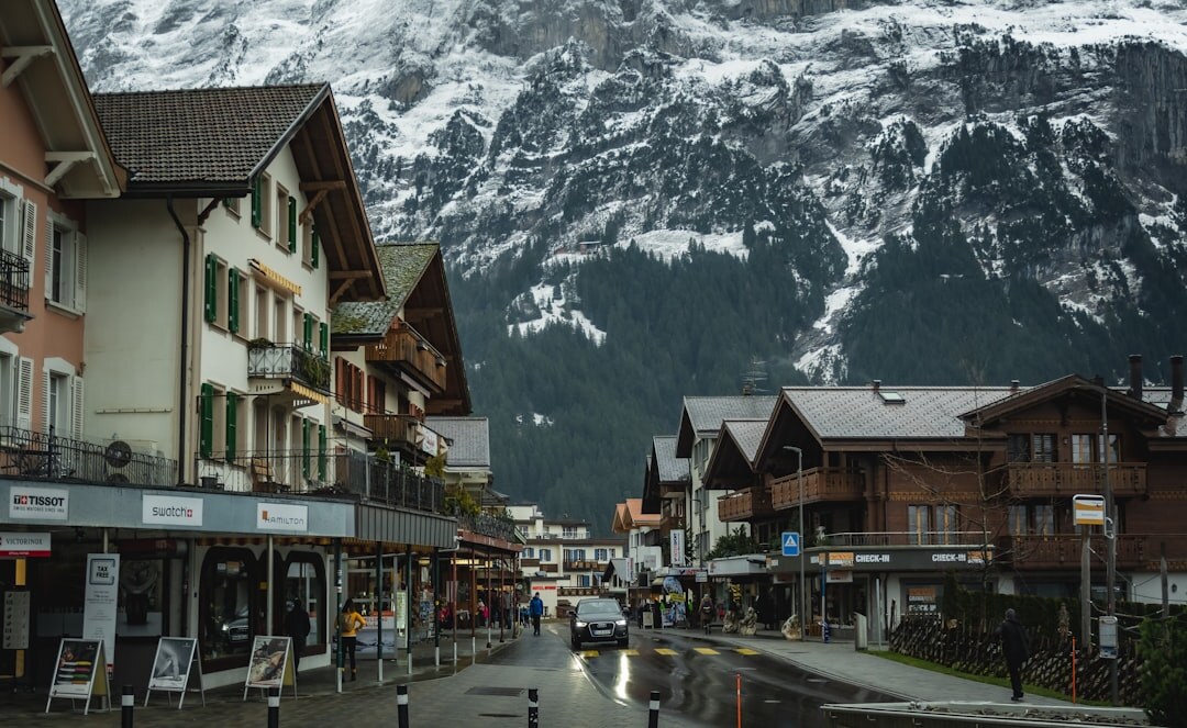 swiss public investigation