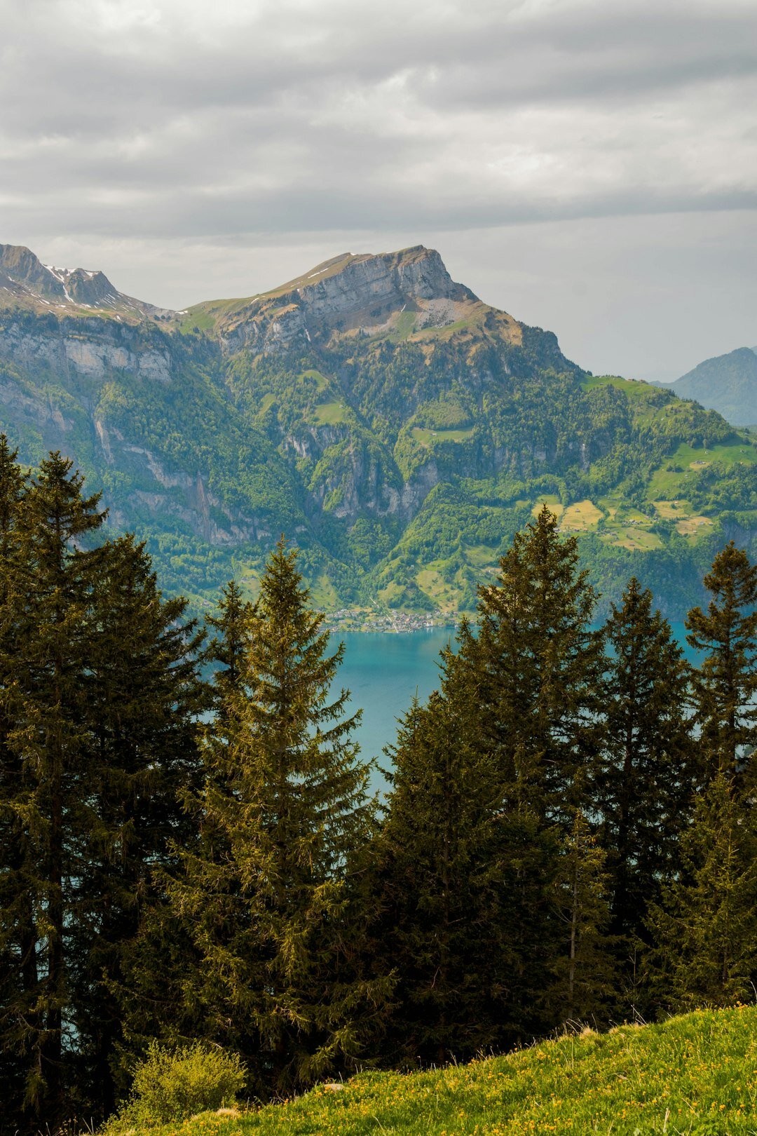 alpine mountains switzerland
