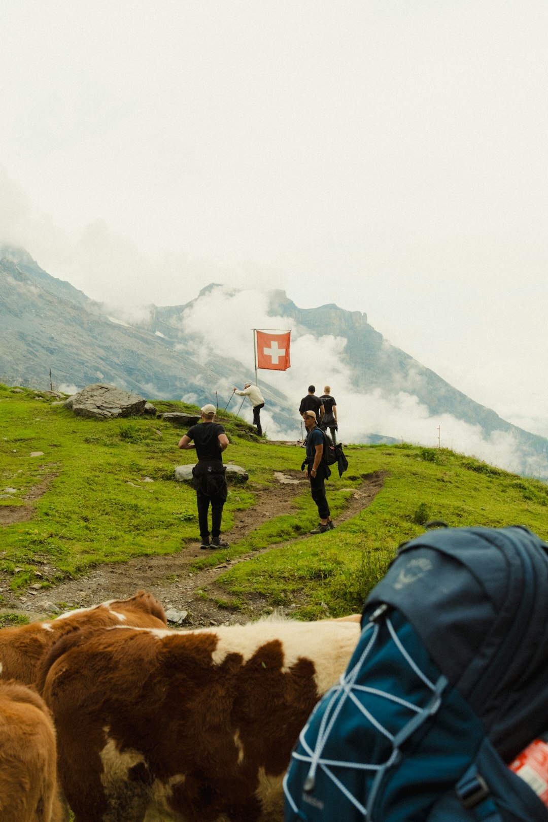 swiss investigator at work
